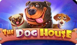 Roby Casino – The Dog House